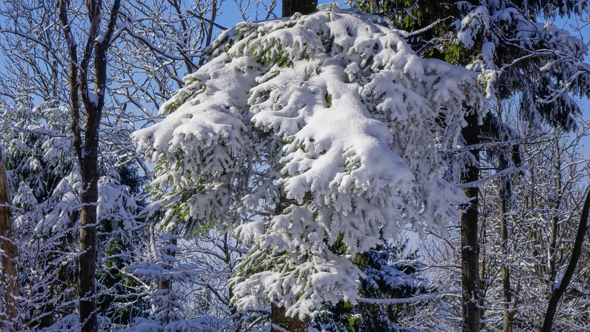 Luty w obiektywie - zdjęcie 19