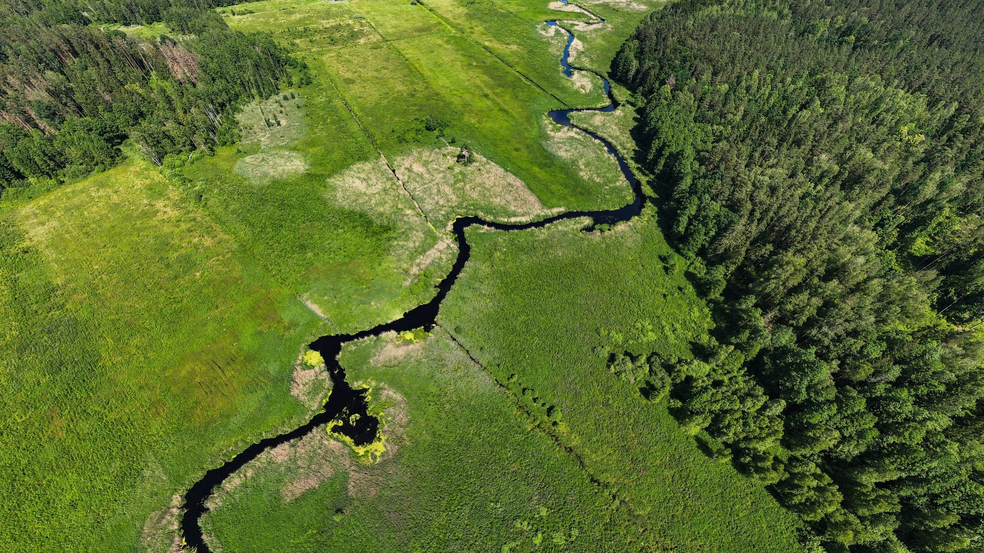 Piękne letnie krajobrazy z lotu ptaka - zdjęcie 14
