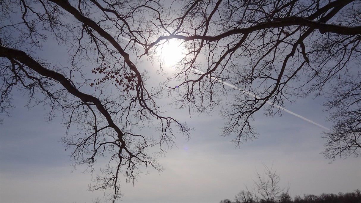 Marzec w obiektywie - zdjęcie 17