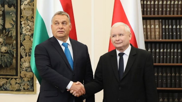PiS: współpraca Polski i Węgier - nadzieją na lepszą przyszłość Europy