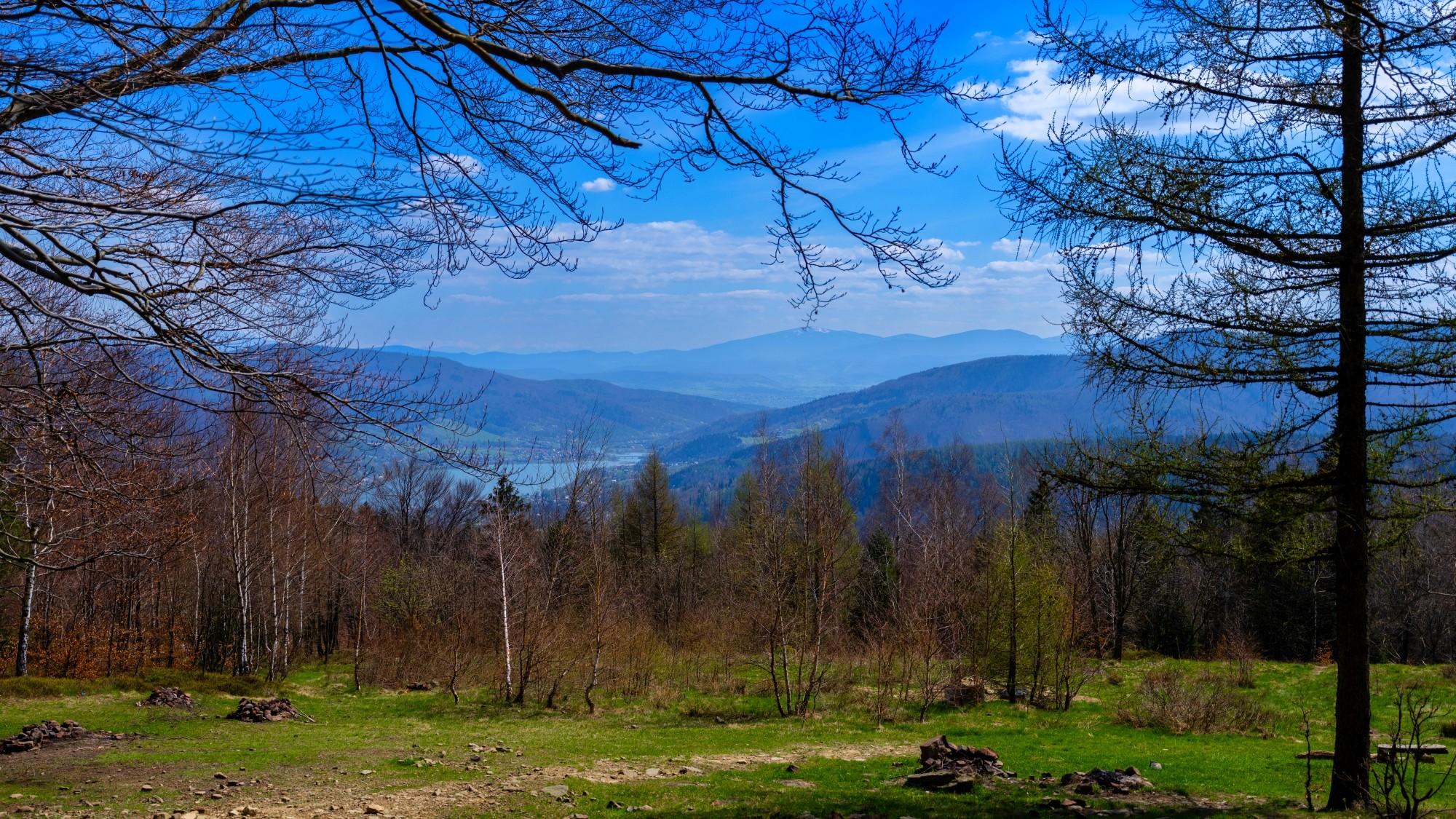 Zachwycający maj - zdjęcie 21