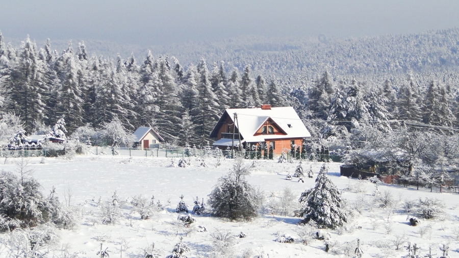 08.02.2018 07:00 Zima to najbrzydsza pora roku? Przekonaj się, że to nieprawda