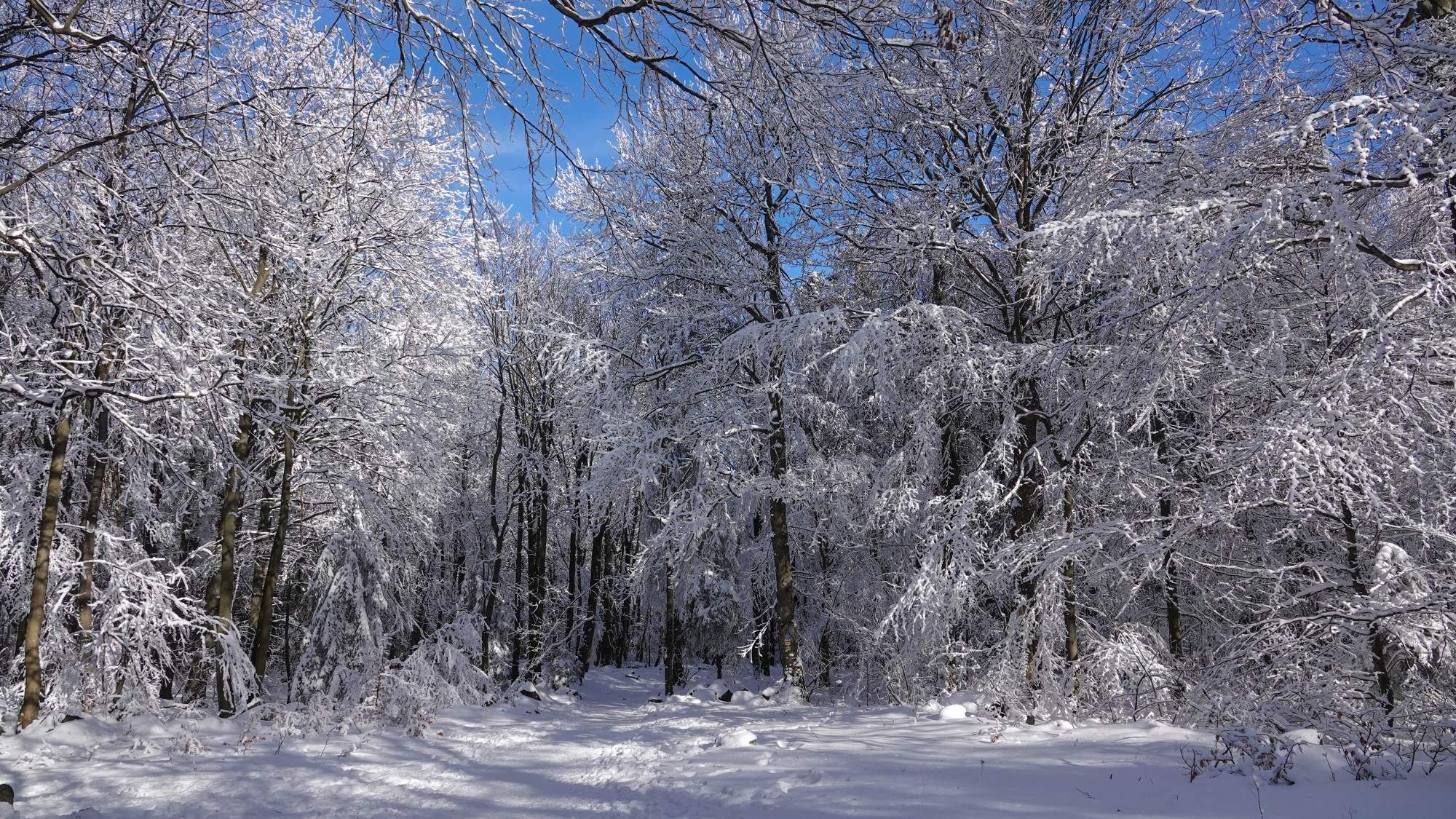 Kraina Narnii - zdjęcie 39