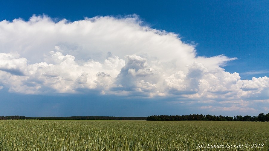 Chmura burzowa w rejonie Chojnic w woj. pomorskim. Fot. Łukasz Górski / TwojaPogoda.pl