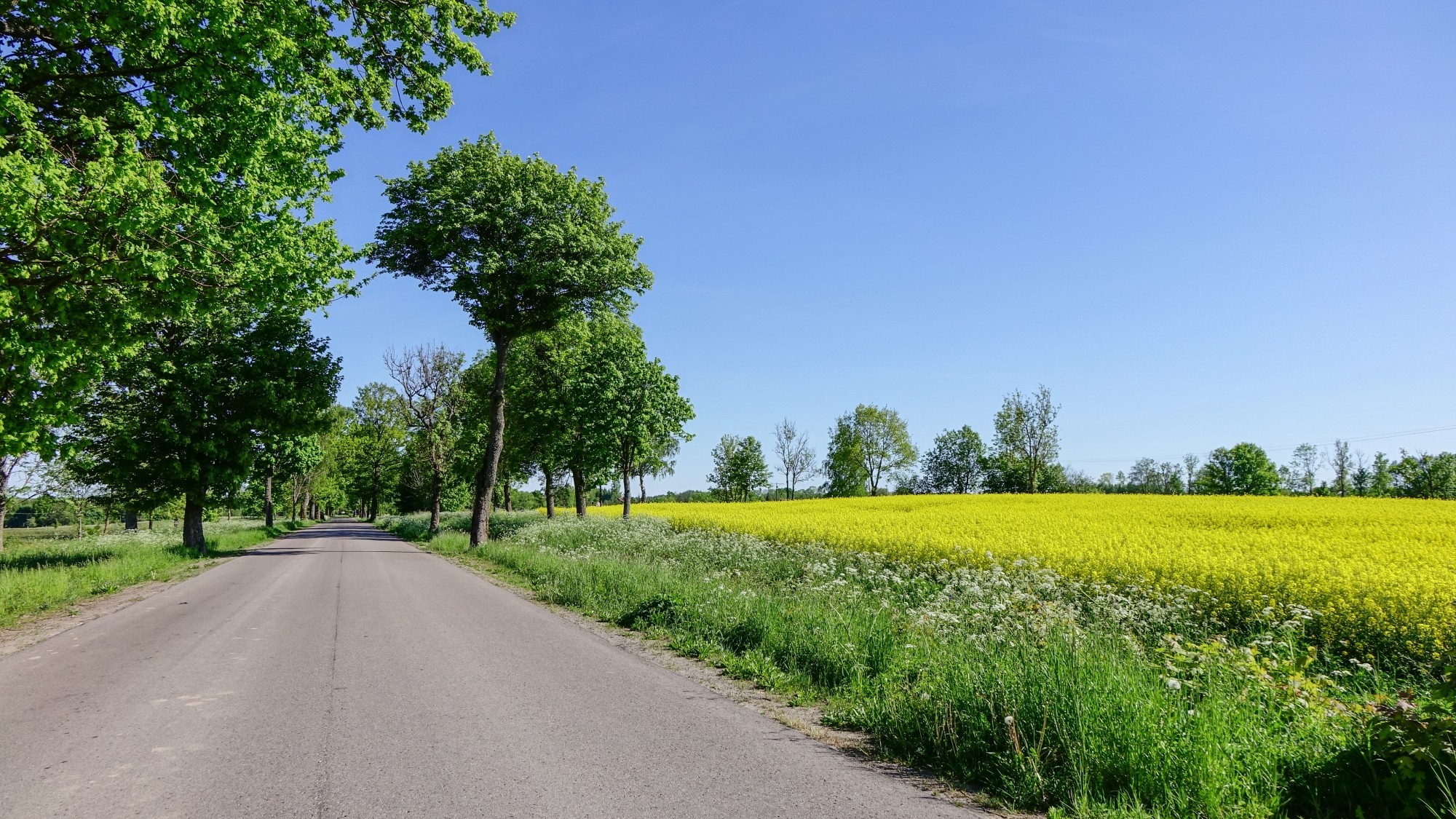 Mazury wiosną - zdjęcie 28