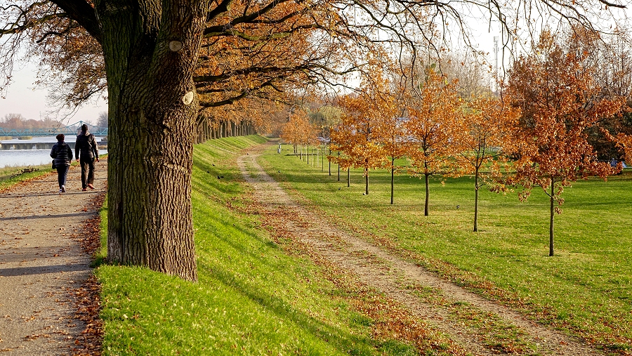 08.11.2018 10:00 W który dzień długiego weekendu pogoda będzie najładniejsza? Sprawdź najnowszą prognozę!