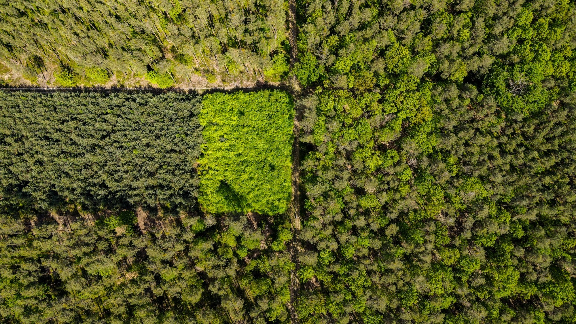 Piękne letnie krajobrazy z lotu ptaka - zdjęcie 27