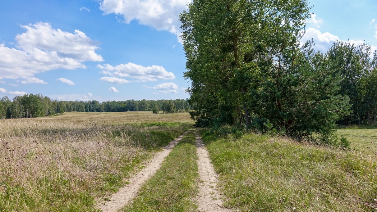 Lipiec w obiektywie - zdjęcie 42