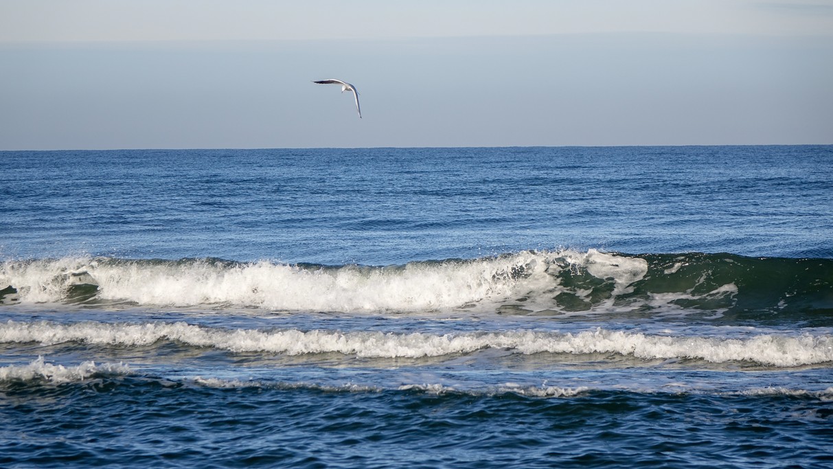 Nad morzem, jeziorami i rzekami - zdjęcie 78
