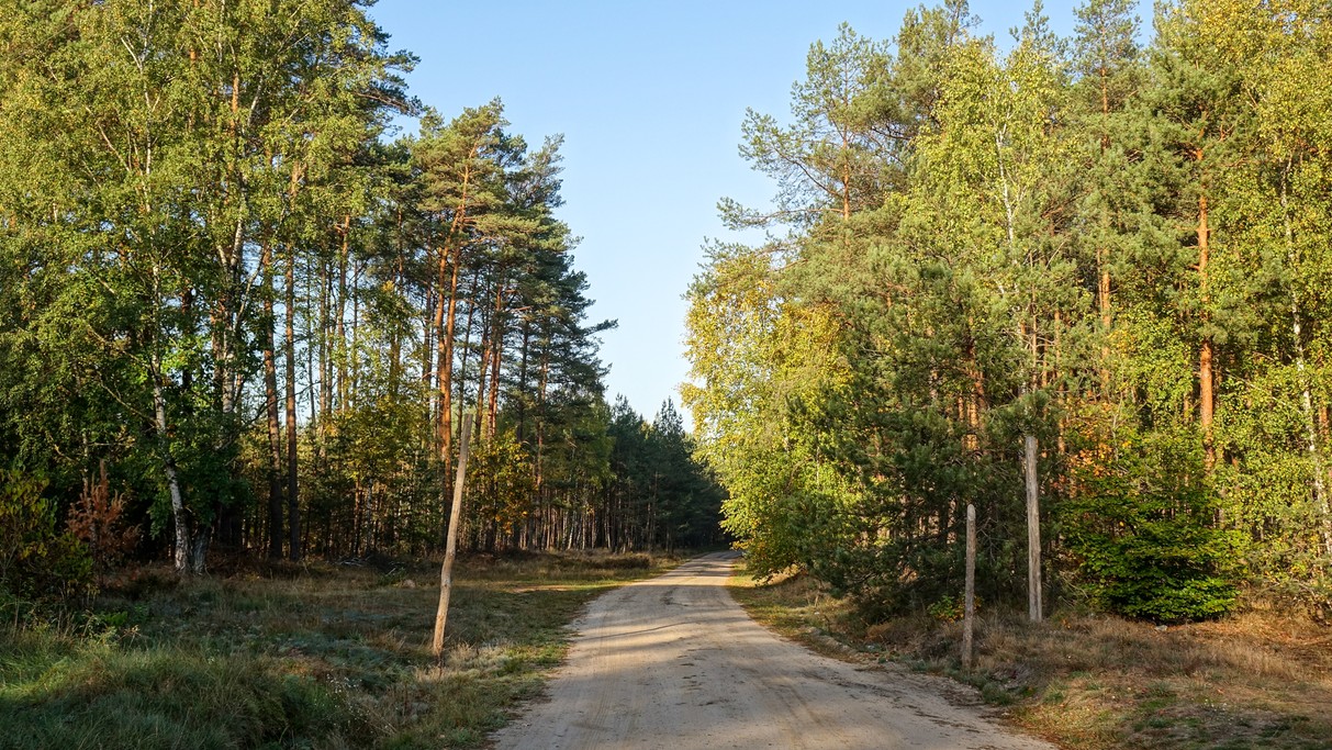 Jesienne krajobrazy za miastem - zdjęcie 83