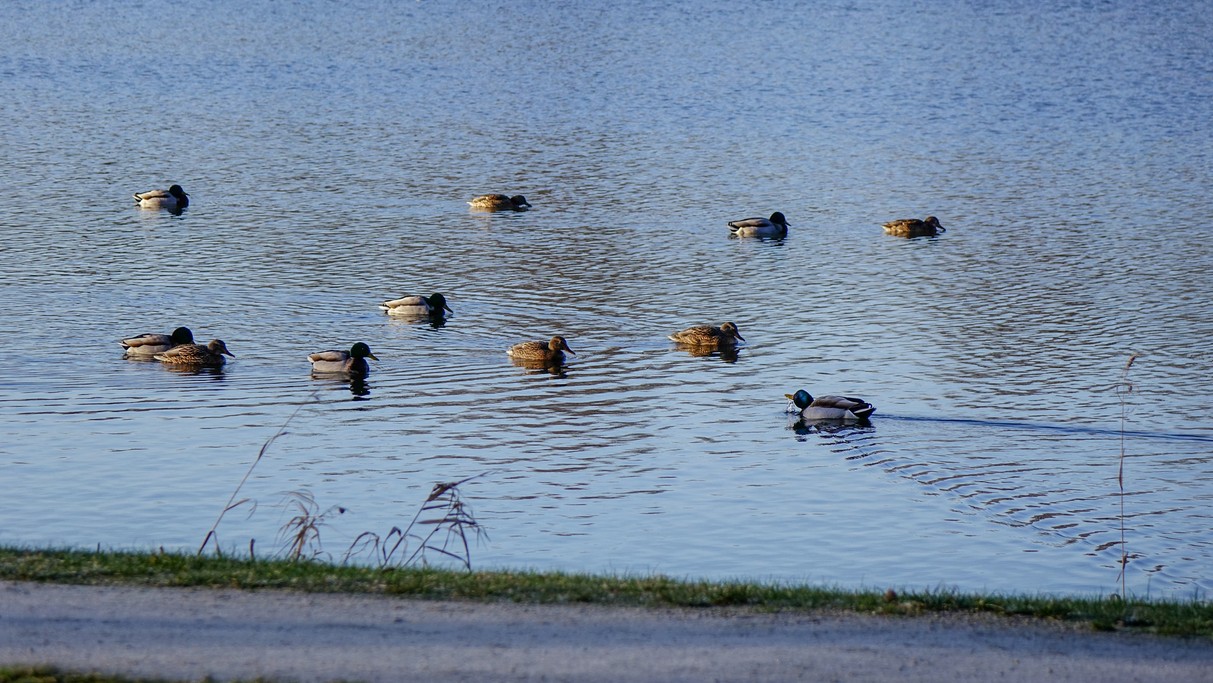 Styczeń w obiektywie - zdjęcie 49