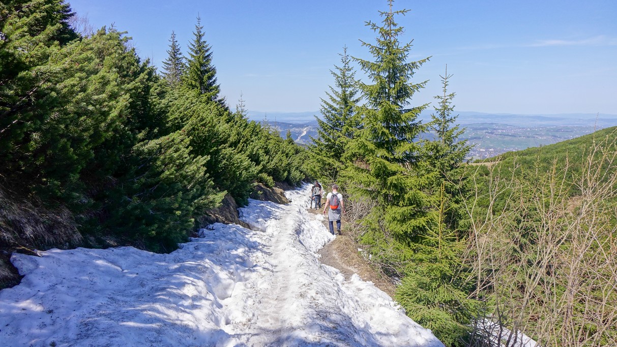 Kwiecień w obiektywie - zdjęcie 26