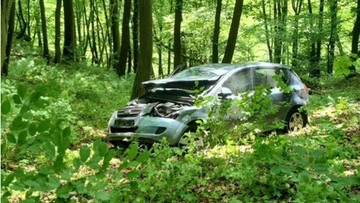 Odwróciła się do dziecka. Wtedy auto spadło ze skarpy