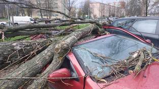 24.03.2024 05:58 Drogi usłane gałęziami, zerwane dachy, zniszczone samochody. Nawałnice nad Polską