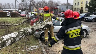 02.04.2022 05:58 Wracają wichury. W poniedziałek i wtorek wiatr może osiągać 90 km/h, łamać drzewa i zrywać dachy