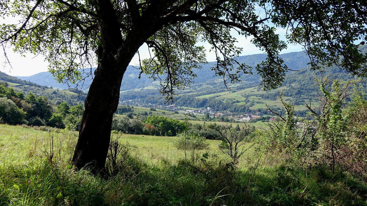 Polskie krajobrazy w 2018 roku - zdjęcie 60