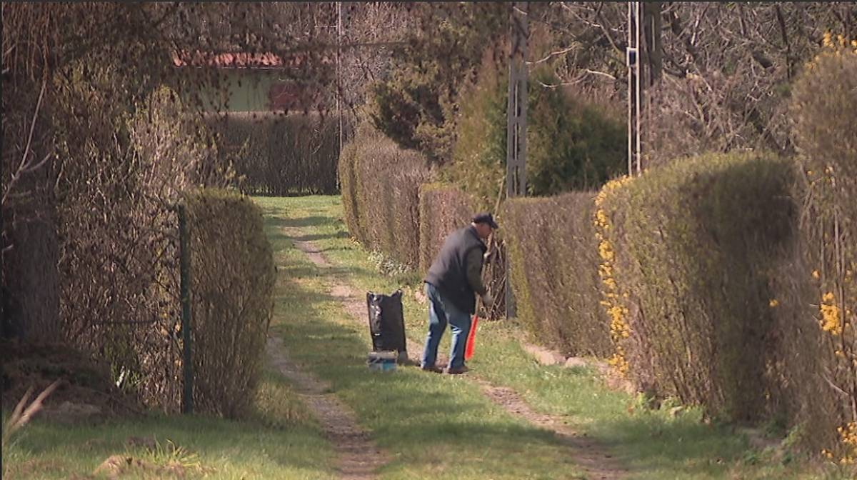 Grzywna do 5 000 zł. Lepiej tego nie robić w swoim ogrodzie