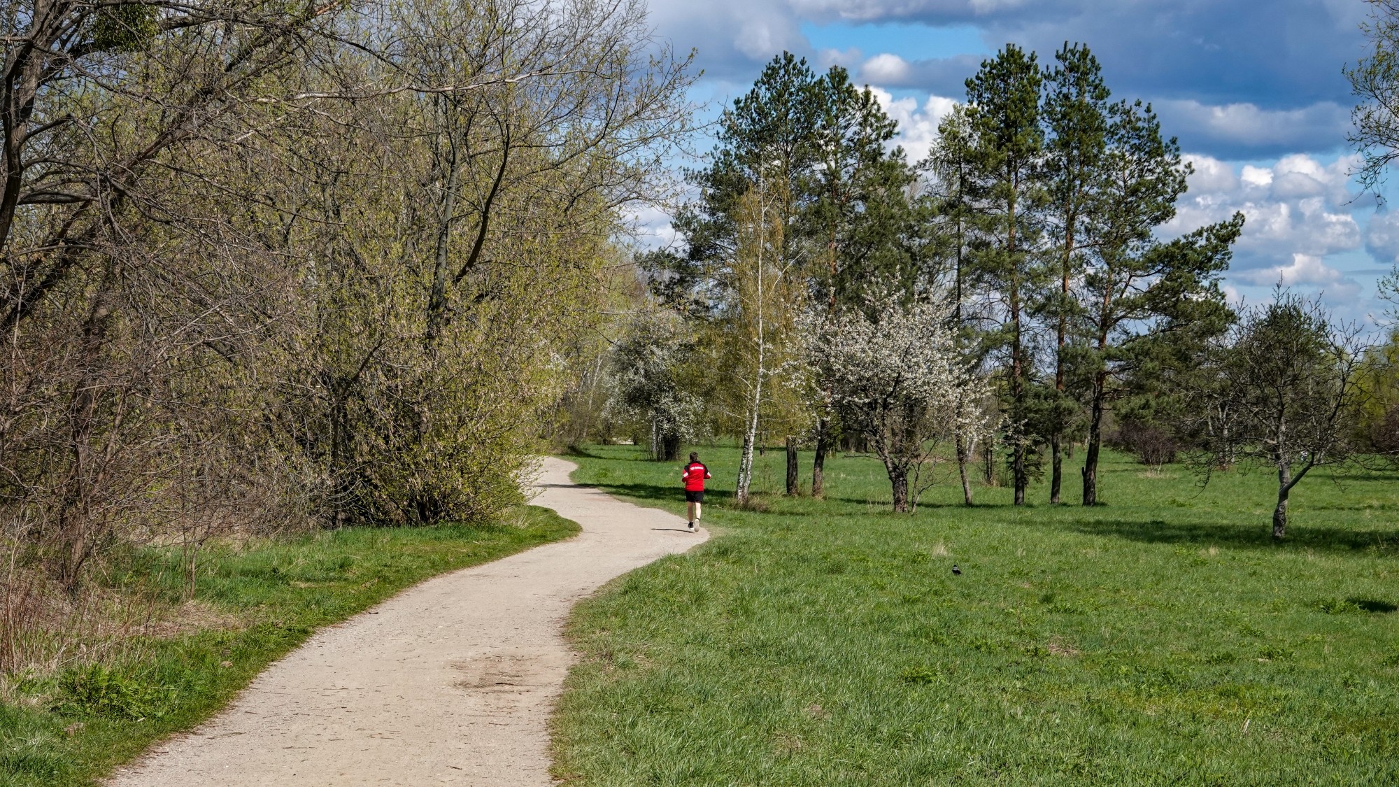 W maju jak w raju - zdjęcie 43