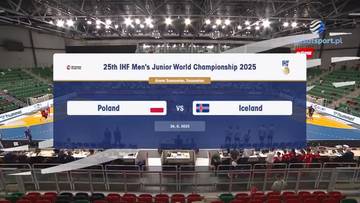 Polska - Islandia. Skrót meczu