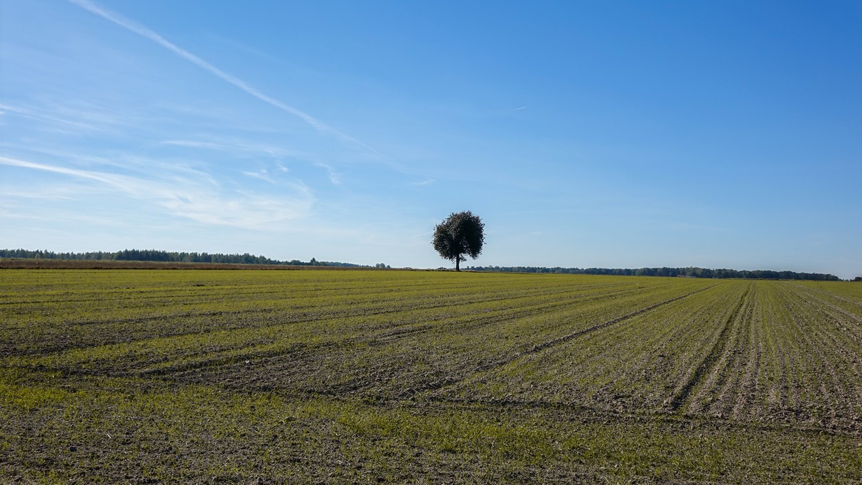 Podróż przez jesienną Polskę - zdjęcie 37