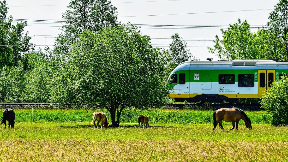 Mazobilet - nielimitowane przejazdy Kolejami Mazowieckimi oraz Warszawskim Transportem Publicznym