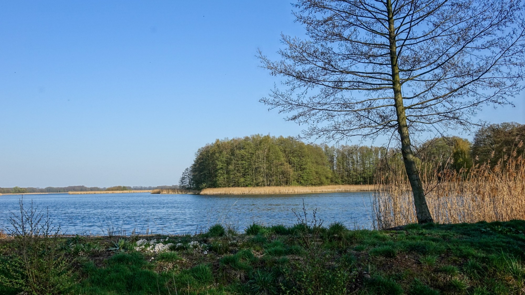 Podróż przez wiosenną Polskę - zdjęcie 7