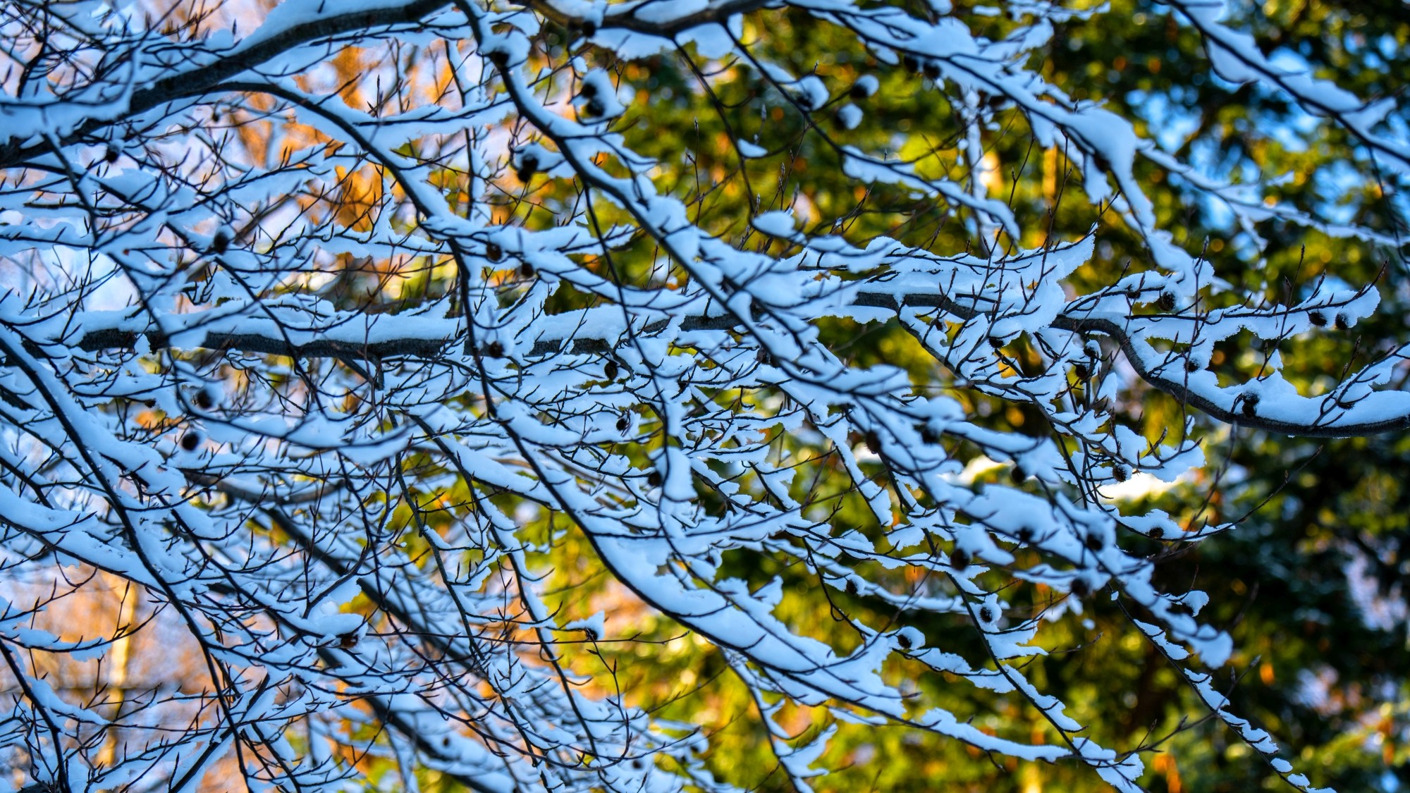 Zima w górach - zdjęcie 18