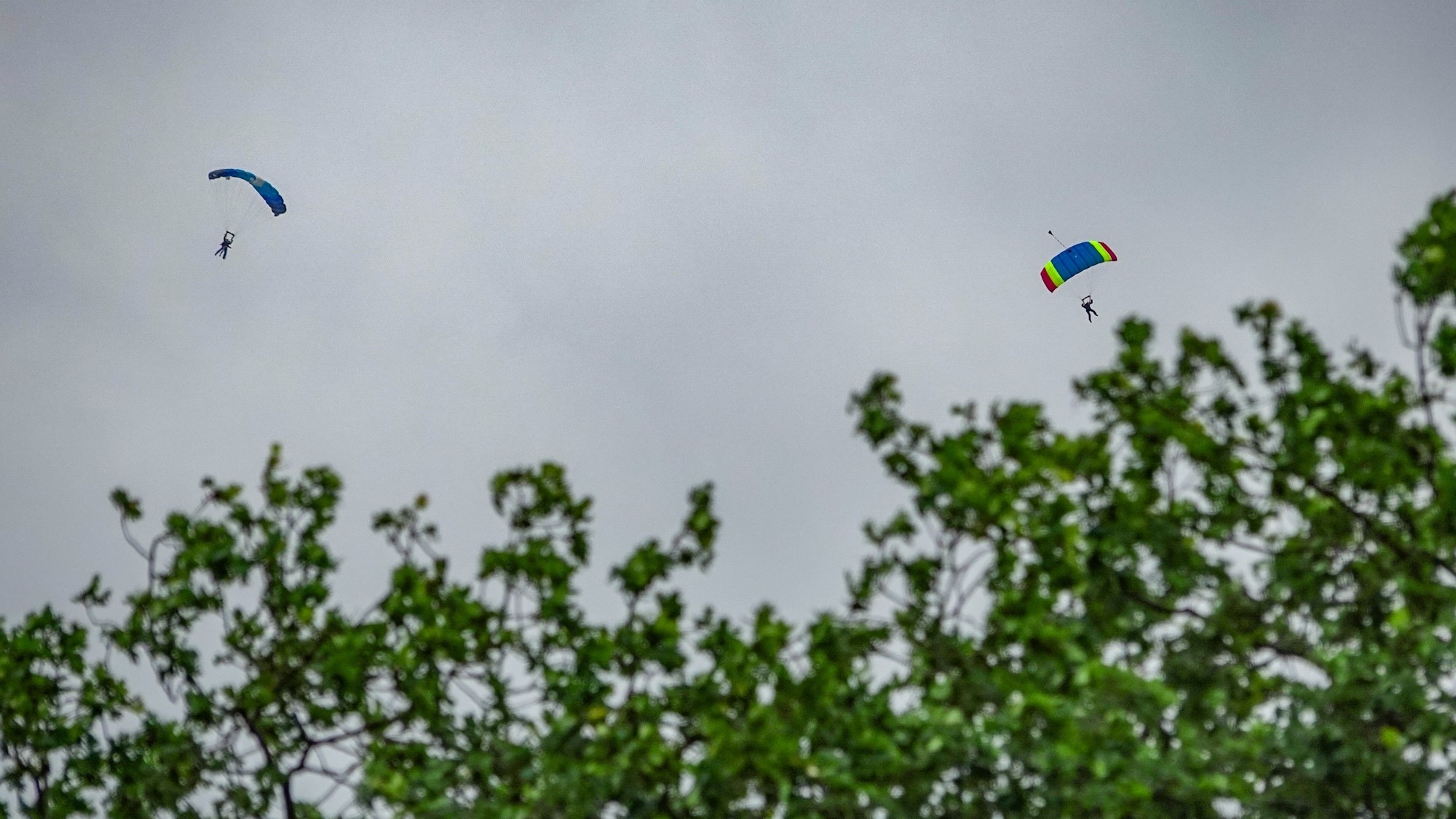 Lato w plenerze - zdjęcie 36