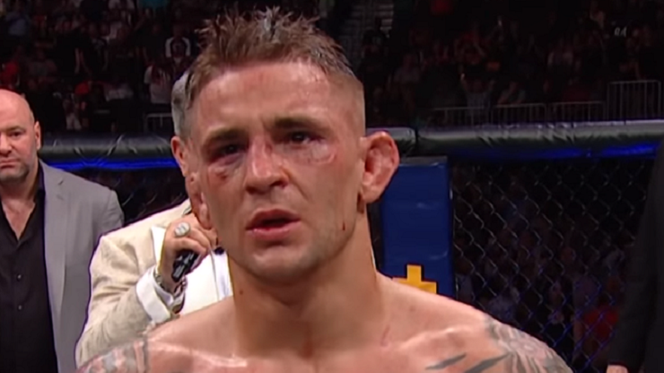 UFC 242: Jak Poirier zasłużył na walkę z Khabibem? (WIDEO)