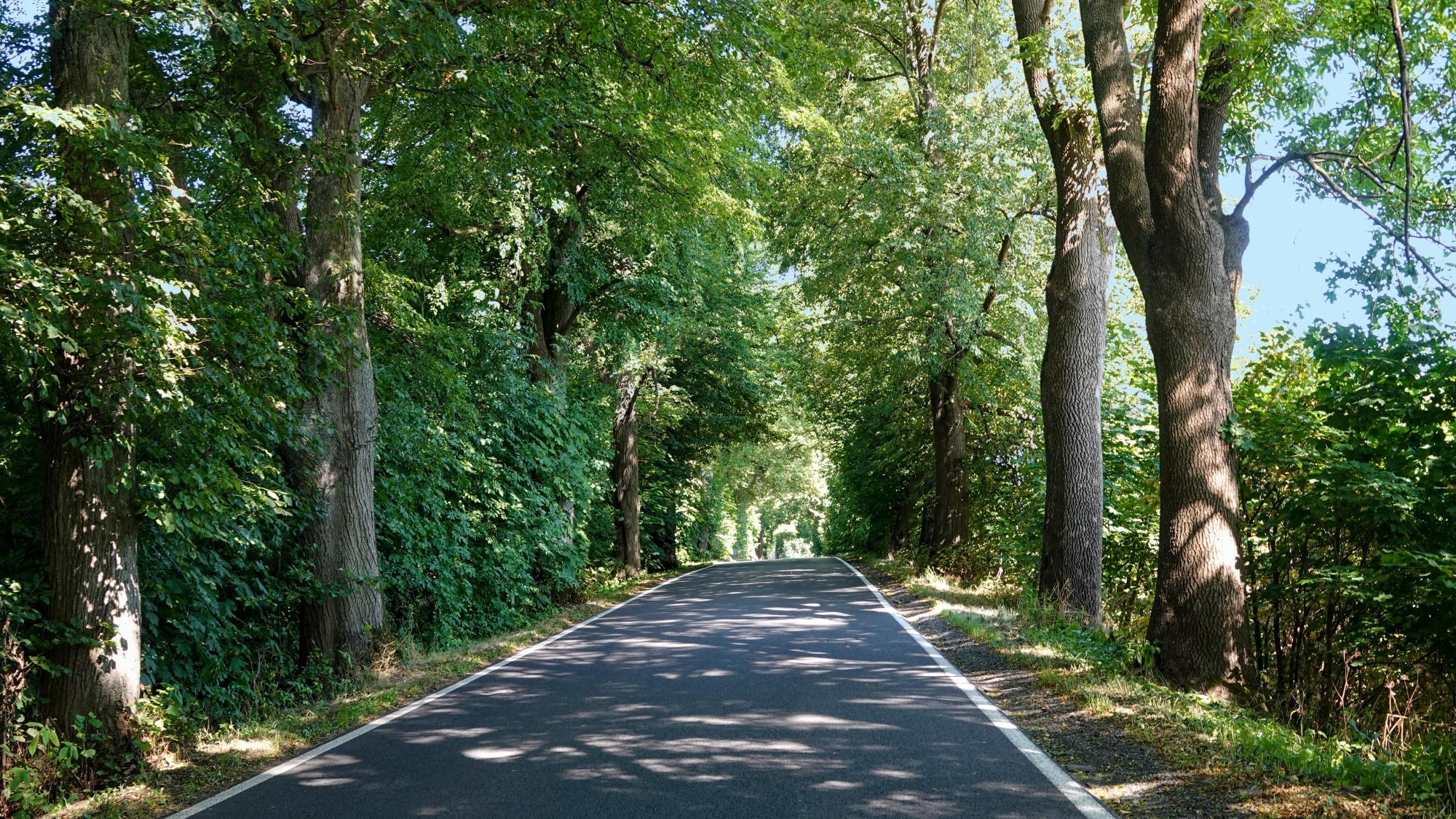 Na pożegnanie lata - zdjęcie 48
