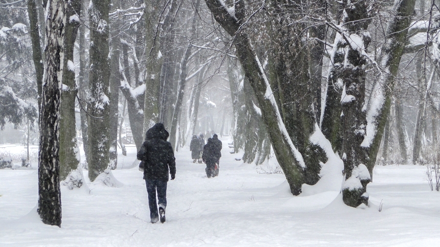 16.12.2018 09:00 Większa część Polski pod śniegiem, który nadal sypie i jeszcze sporo go spadnie. Kiedy opady ustaną?