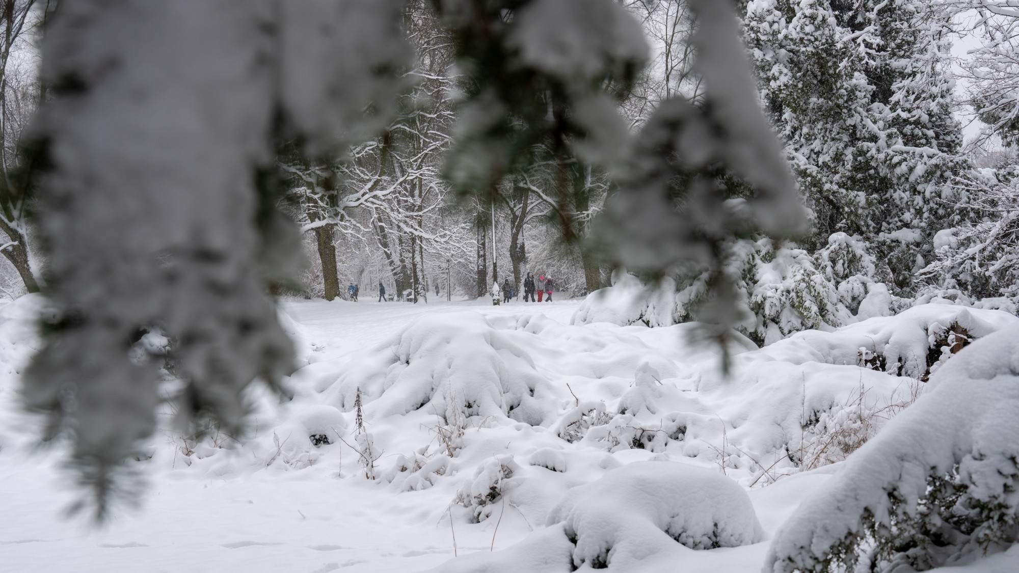 Miejska przyroda - zdjęcie 10
