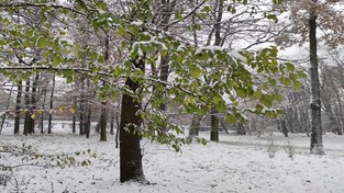 03.12.2020 11:00 Zachodnia Polska zasypana śniegiem. Drogi i chodniki są bardzo śliskie, a krajobrazy przeurocze [ZDJĘCIA]