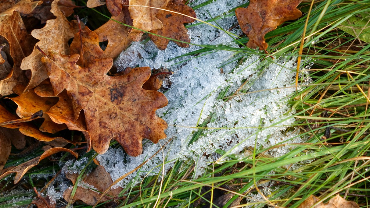 Listopad w obiektywie - zdjęcie 14