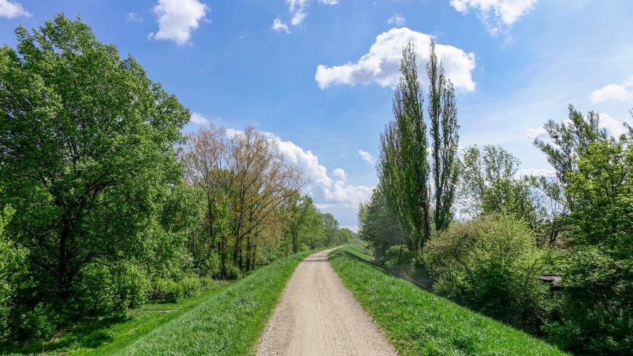 29.04.2018 00:00 Kwiecień w obiektywie