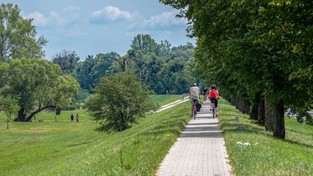 20.04.2020 09:00 Nie wszystkie lasy, parki i plaże są otwarte. Czy można biegać i jeździć na rowerze? W masce czy bez?