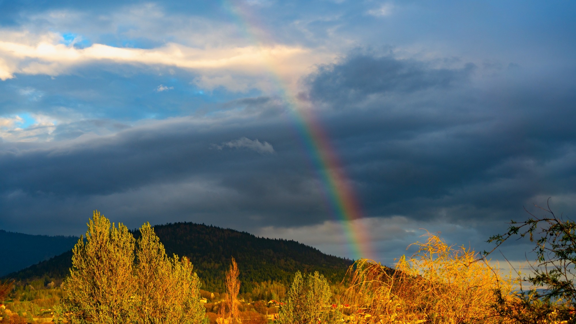 Zachwycający maj - zdjęcie 12