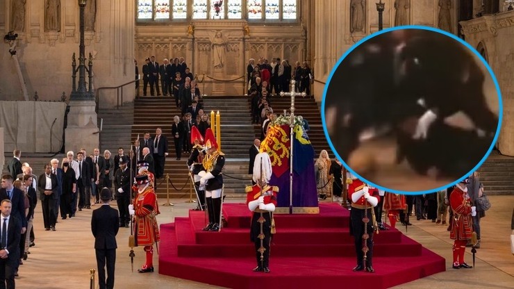 Królowa Elżbieta II. Incydent w Westminster Hall. Mężczyzna dotknął trumny