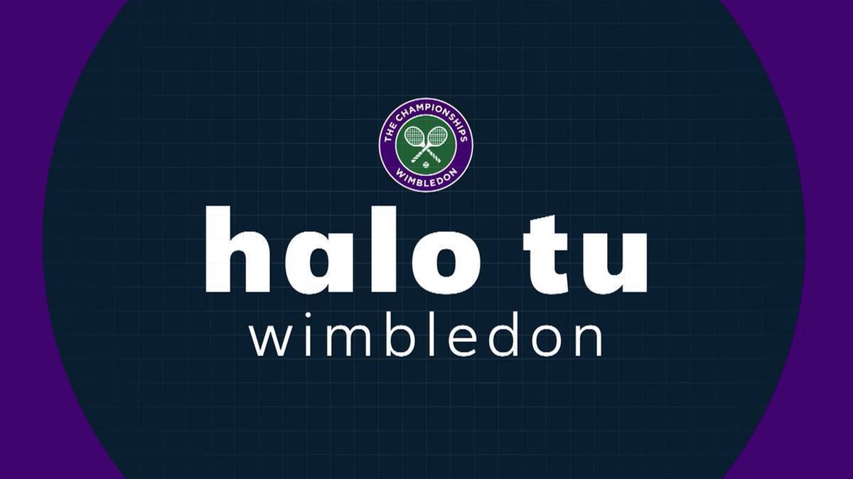 Halo tu Wimbledon: Gdzie obejrzeć? O której godzinie? Transmisja TV i stream online - 08.07