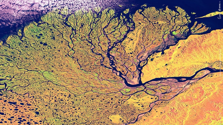 Zdjęcie satelitarne (w fałszywych kolorach) delty Leny w Rosji. Fot. ESA / Sentinel.
