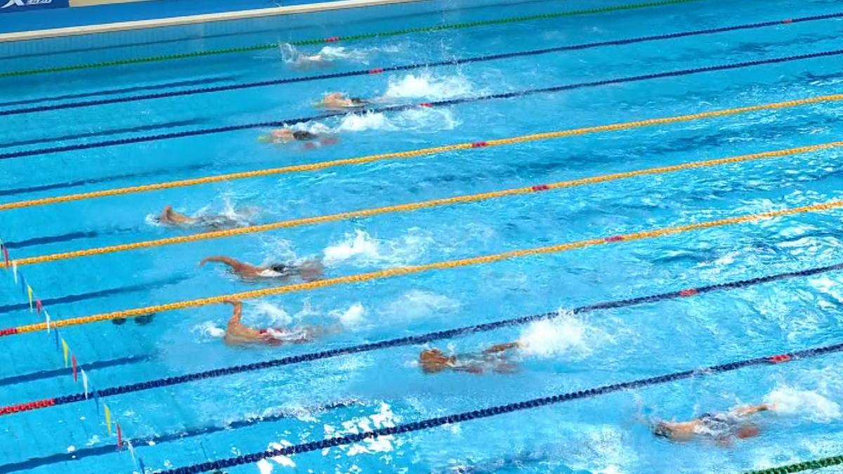 Kilku pływaków ścigających się na basenie olimpijskim, każdy w swojej torze wyścigowym.