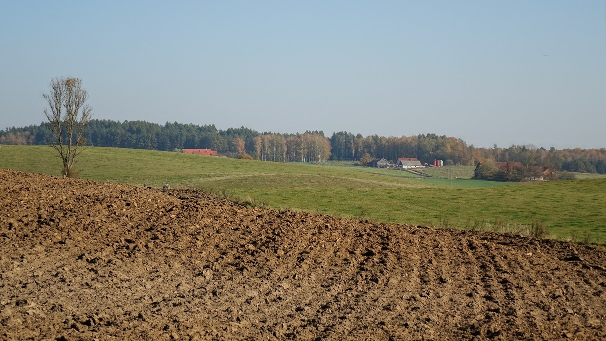 Październik w obiektywie - zdjęcie 31