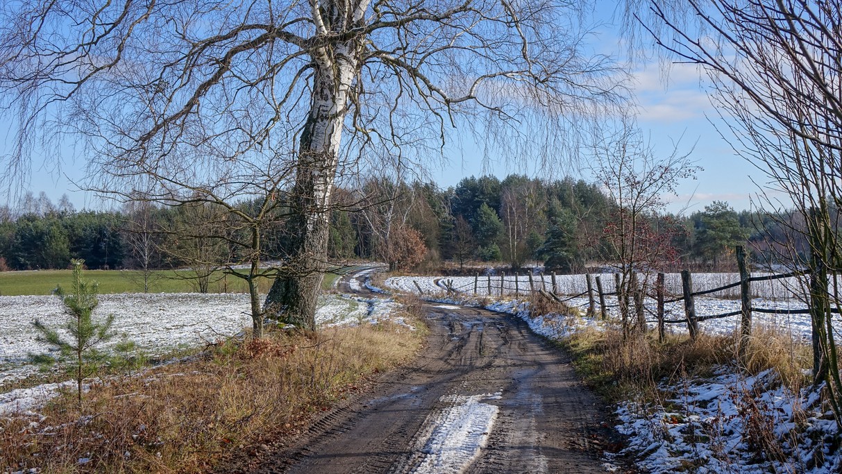 Minione zimy w Polsce - zdjęcie 38