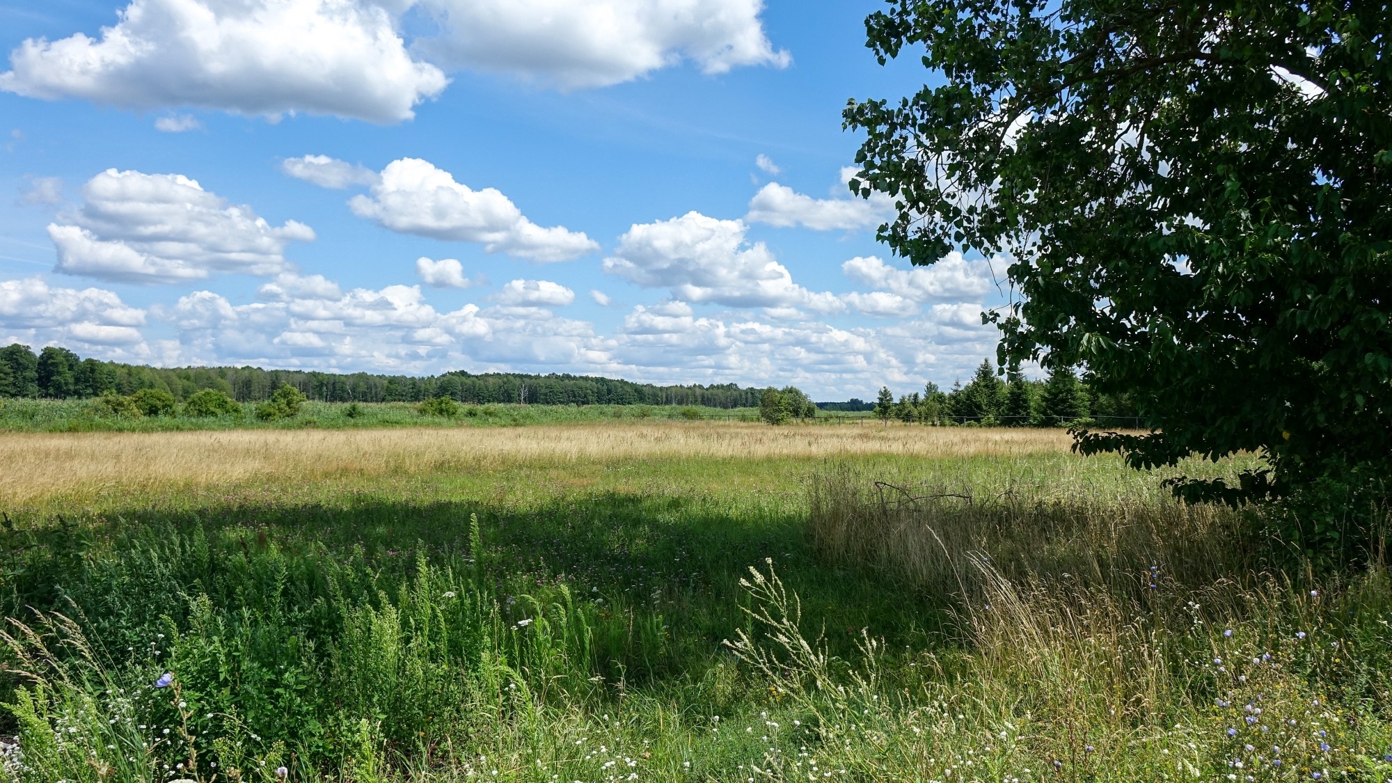 Lipiec w obiektywie - zdjęcie 42