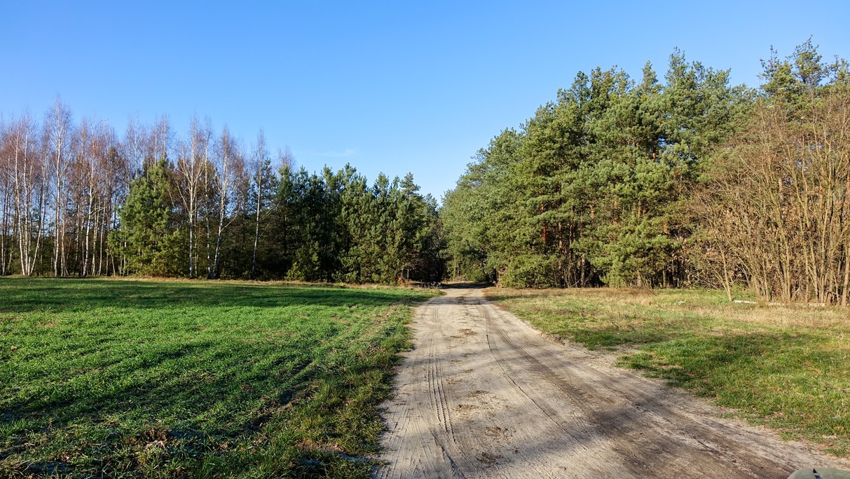 Listopad w obiektywie - zdjęcie 5