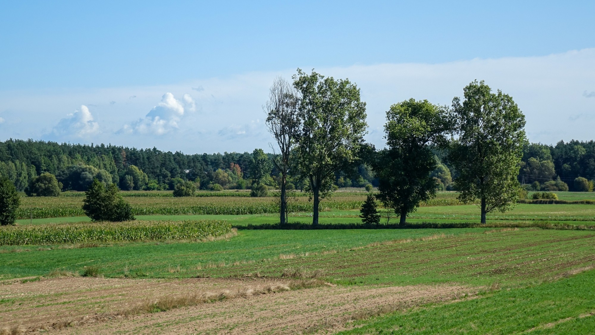 Wrzesień w obiektywie - zdjęcie 49