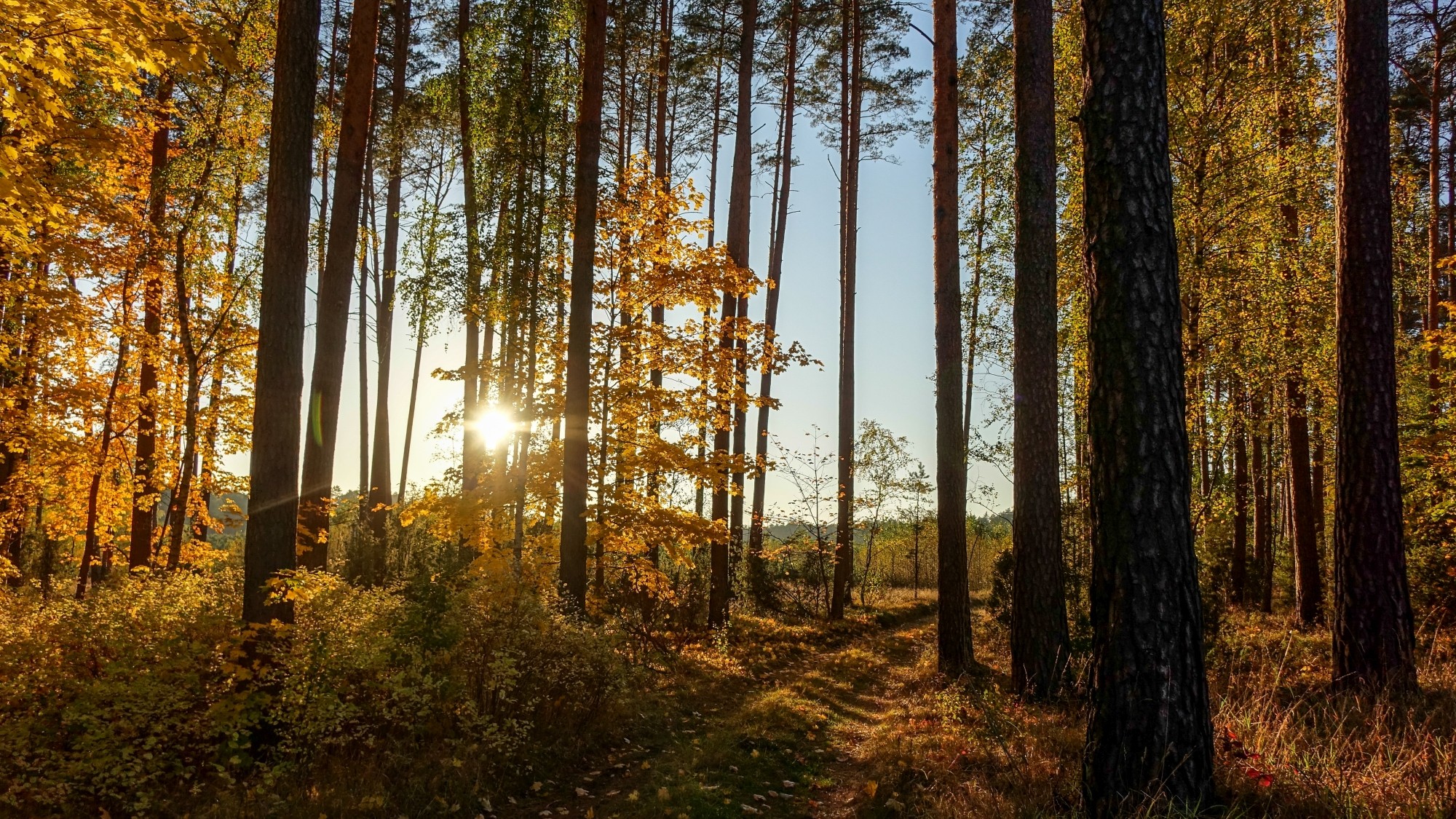 Jesień w górach, lasach i nad jeziorami - zdjęcie 52