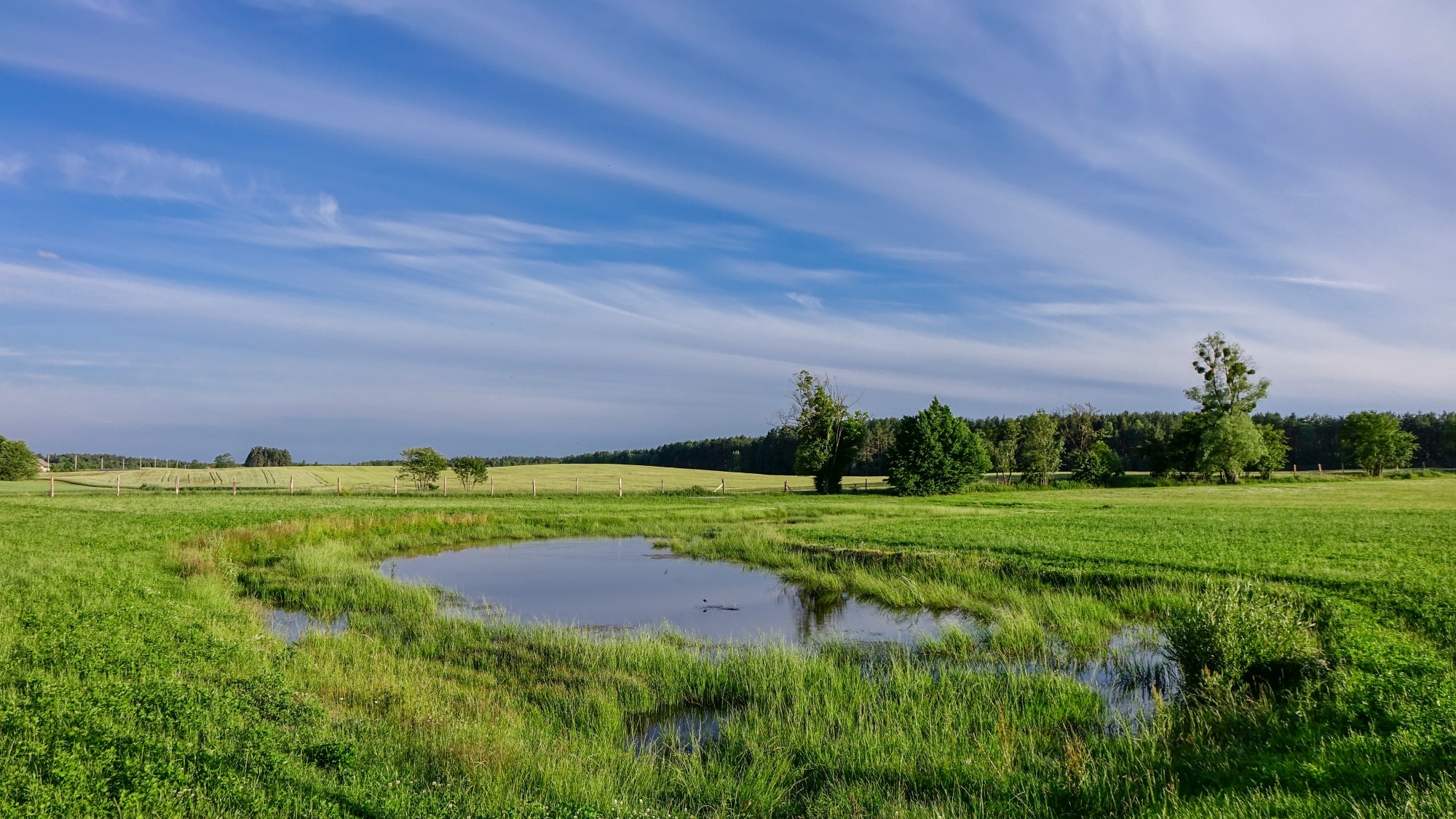Odkryj piękno Polski w wakacje - zdjęcie 51