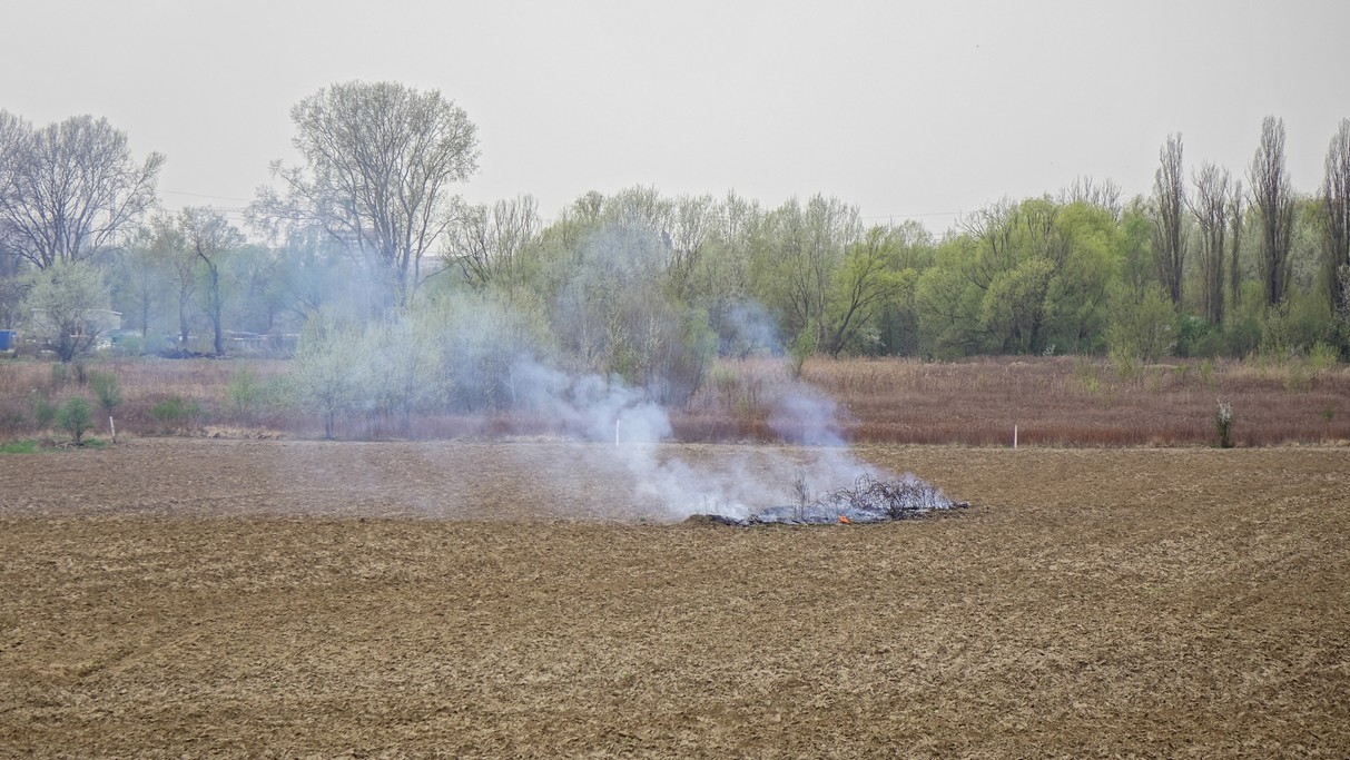Kwiecień w obiektywie - zdjęcie 29