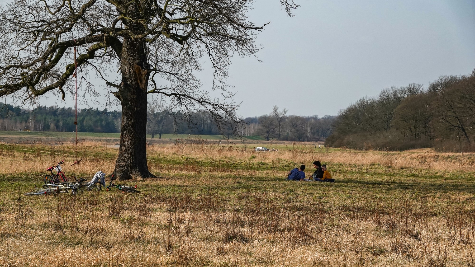 Marzec w obiektywie - zdjęcie 53